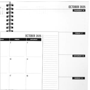 Image of 2025-2026 Academic Planner: Attack Cat with Stripes