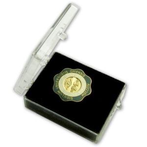 Image of PERSONALIZED NURSING PIN: Gold Plated