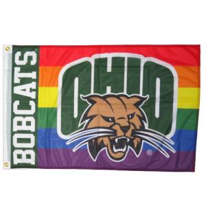 Image of 2x3 Rainbow Flag with Attack Cat and Bobcats