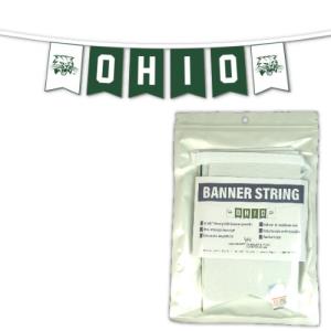 Image of 6-Panel Felt Banner String: Attack Cat OHIO