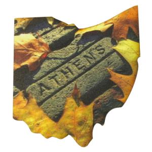 Image of CC Wood Ohio Magnet: Fall Athens Bricks